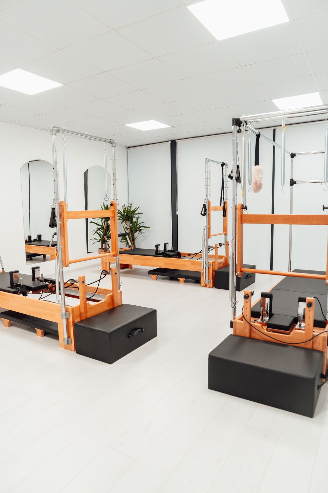 A bright studio with classical Pilates apparatus